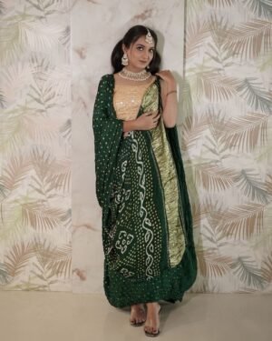 Pallu Dani Saree